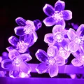 Cherry purple