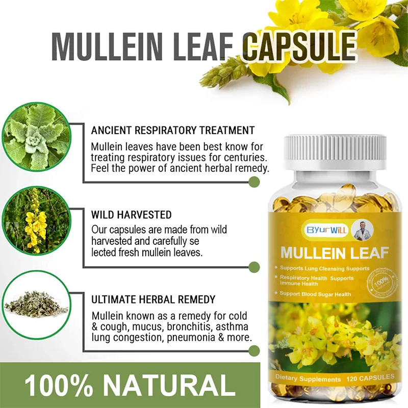 Mullein Leaf Extract Capsules Herbal Respiratory Supplement for Lung Cleanse Support Better Respiratory Immune Function