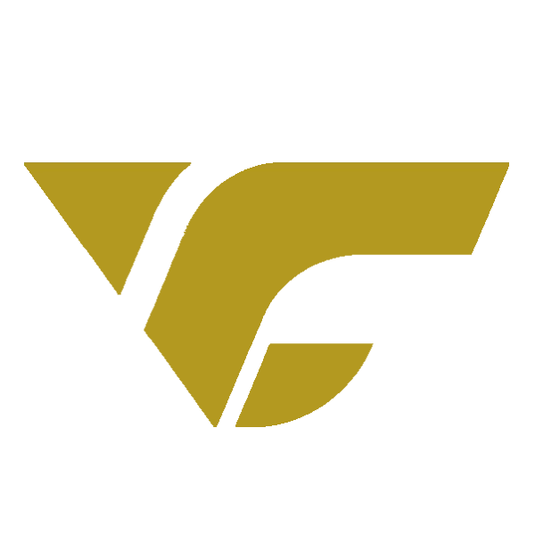 Volkchoi Global Store