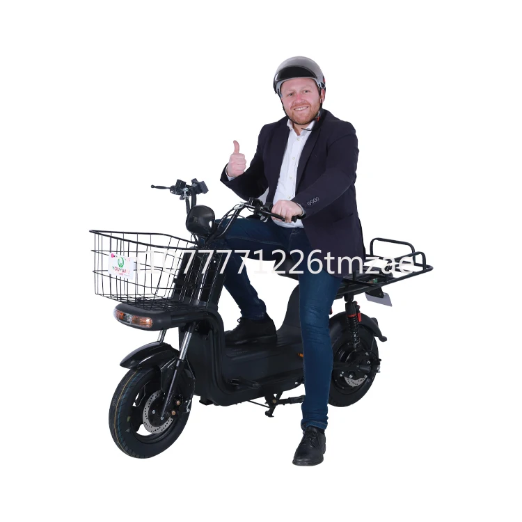 

Take-out Electric Y2-FD New Product Electric Bicycle 350W High Power Chinese Fat Bike