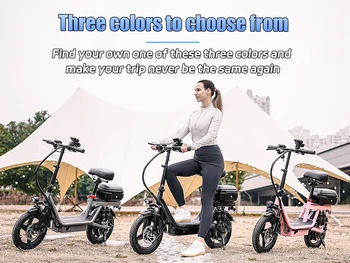 700W Foldable Electric Scooter 1