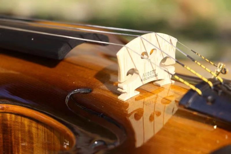 Acoustic Violin Hand Carved Beethoven Violin 4/4 European spruce Antonio Stradivari violin professional musical instrument violino acoustic violin violin accessories