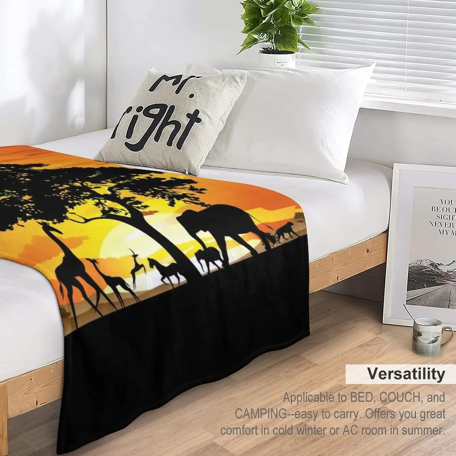 ������ī ��ٳ� ���� ������ ���, �߻� ���� ķ��, ���� �ε巴�� ǫ���� ���� ���