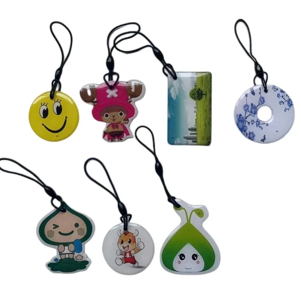 20 Pz/lotto RFID 125KHz Scrivibile Riscrivere T5577 Accesso Di Prossimità Portachiavi Portachiavi Tag Chiave - Foto 3