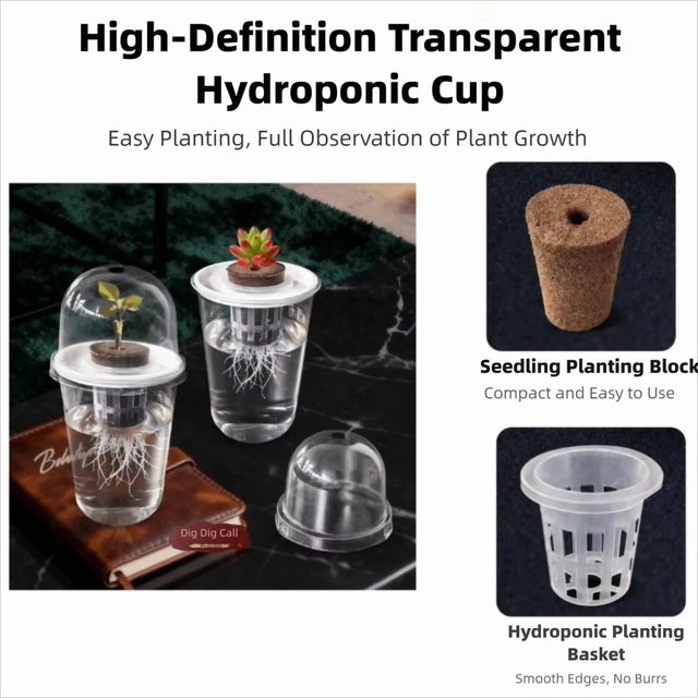 Plastic hydroponic seed planting pot - transparent and durable gardening seedling cup - reusable cup for observing plant roots 5