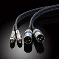 XLR Male