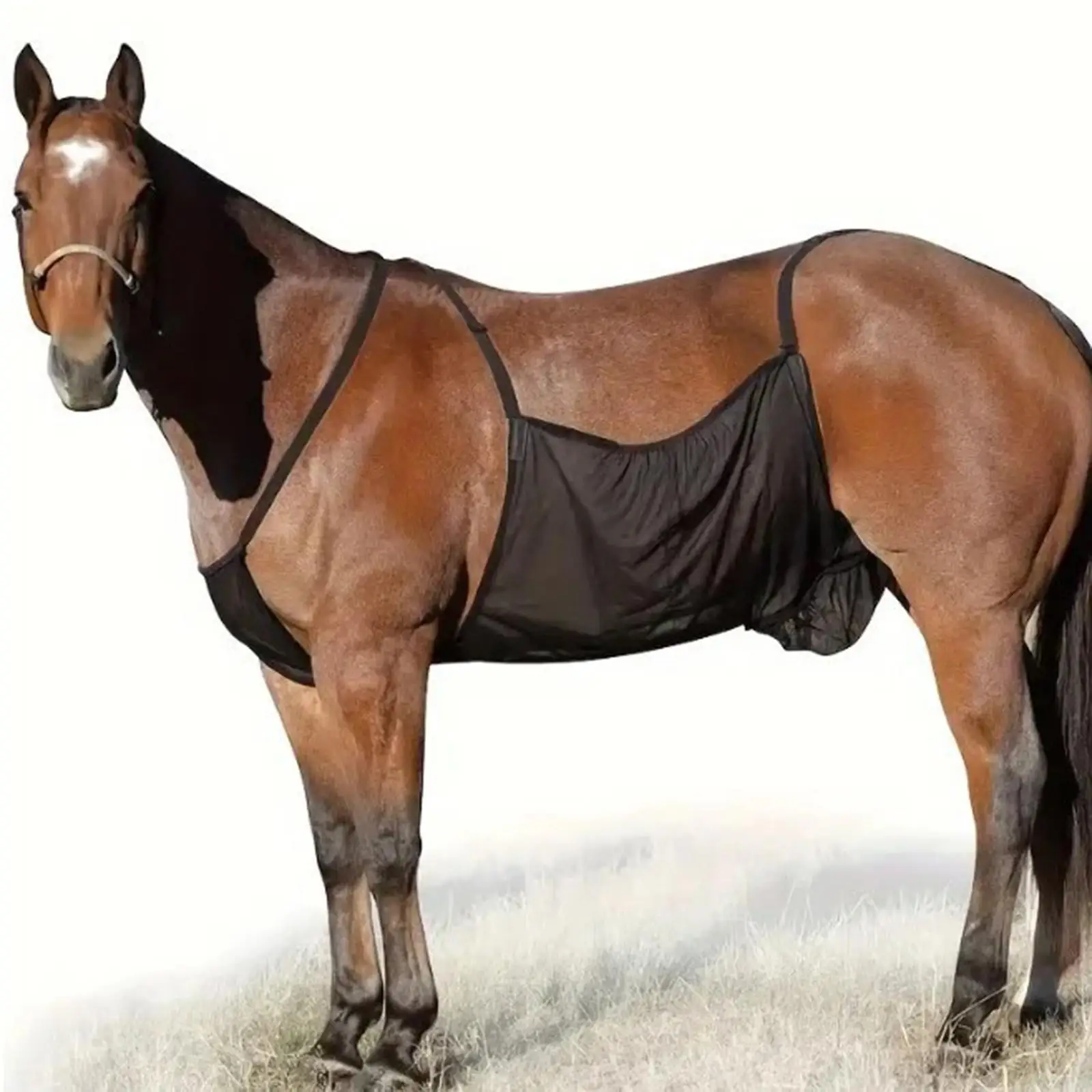 Horse Fly Sheet Belly Guard Summer Coverage Comfortable Pet Supplies Wrap