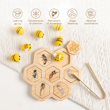 Honeybee Growth Cycle Cognitive Card - Wooden Toys 2
