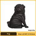 Pug