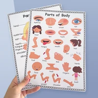 2 PCS English Body Parts Big Card  Early Education for Children Learning Materials Teaching Aids Classroom Wall Decoration 1