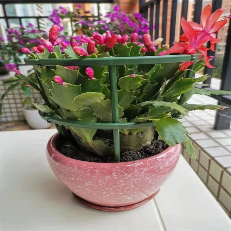 Plastic Plant Supports 12Pcs/Set For Flowers Greenhouse Arrangement Rod Holder Orchard Garden Bonsai