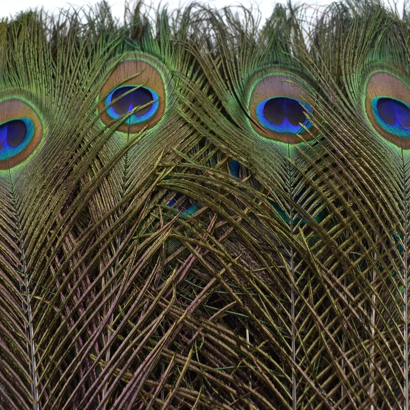 Description Picture 5 of item10Pcs Natural Real Peacock Feathers for Decoration Craft Item Long Plumes Feather Decor Wedding Jewelry Handicrafts Accessories