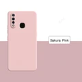 Sakura Pink