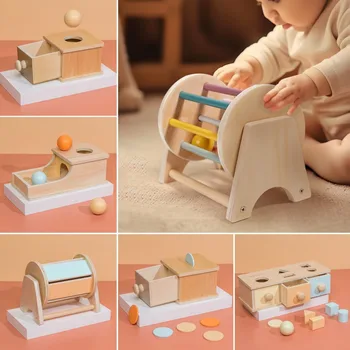 Montessori Wooden Coin & Ball Busy Drum Toy 1