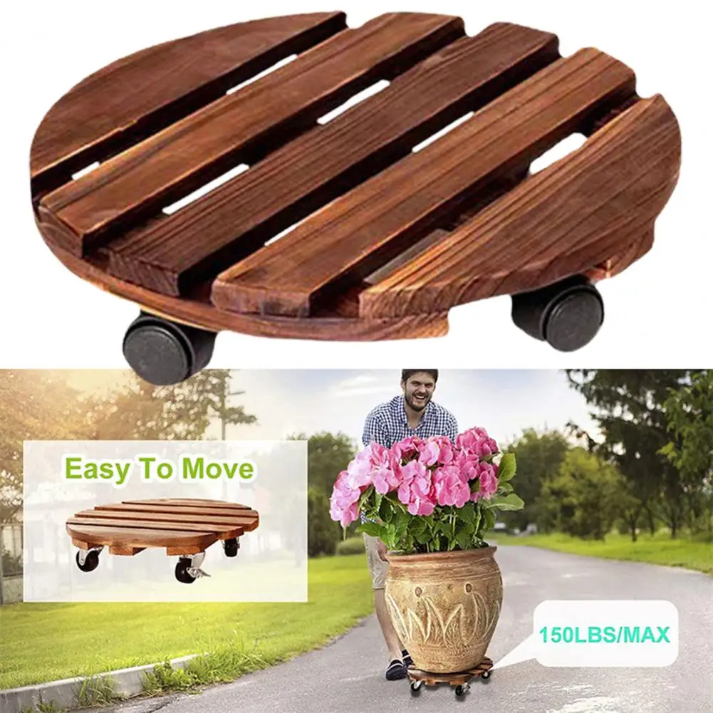  ޸   Ĺ ĵ,   , 360  ȸ ȭ ÷ Ʈ, 2 