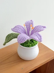 Hand-Knitted Lily Crochet Flower Pot - Delicate Gift (PURPLE)