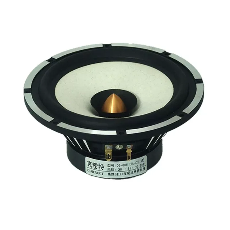 Auch-arm DG-603/P-610F 6.5 Inch Full Frequency Speaker Driver IIR Rubber/Real Leather Surrouding 4/8ohm 25W OD = 170mm 1PCS