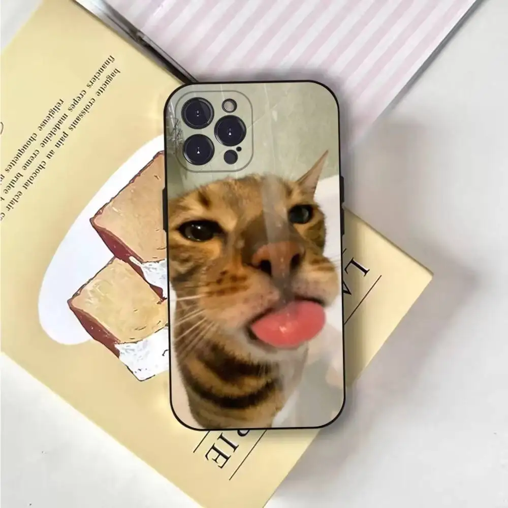 Funny Animal Cat Phone Case For iPhone 17 16 15 11 12 thumbnail 5