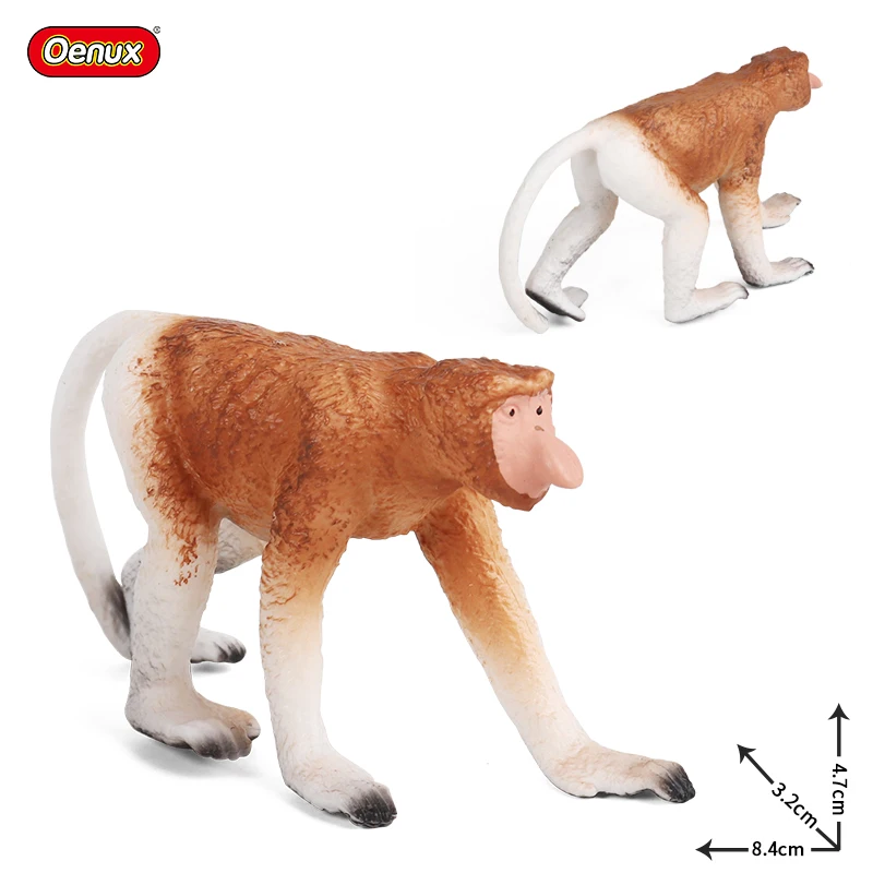 animals model