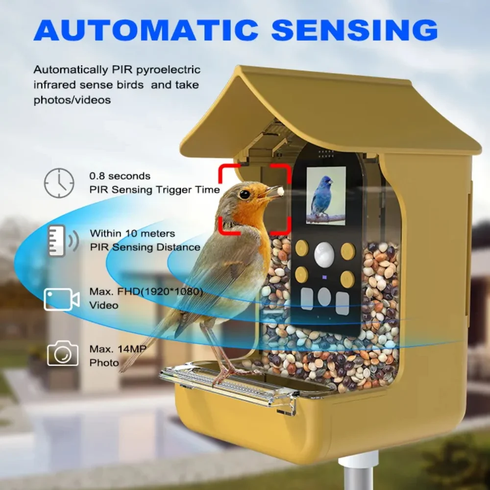 Mangeoire intelligente étanche pour oiseaux avec caméra, jardin