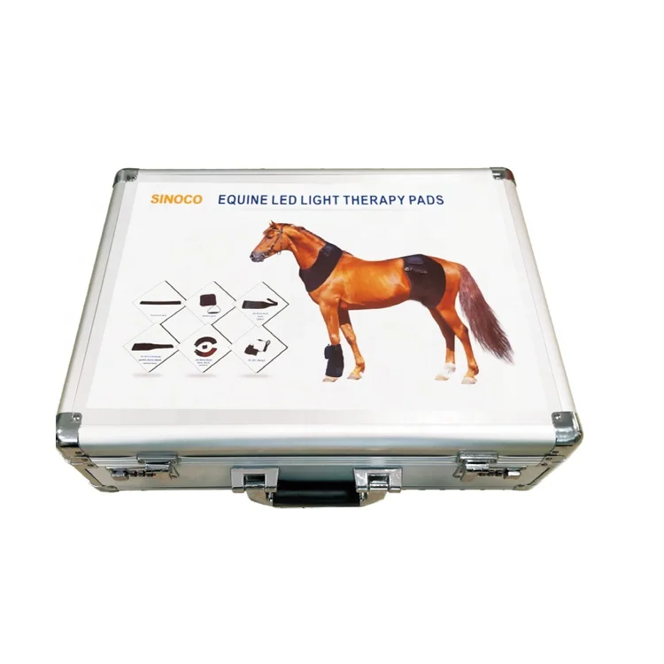 

Horse Solar Lights Solarium Horses Other Horse Products