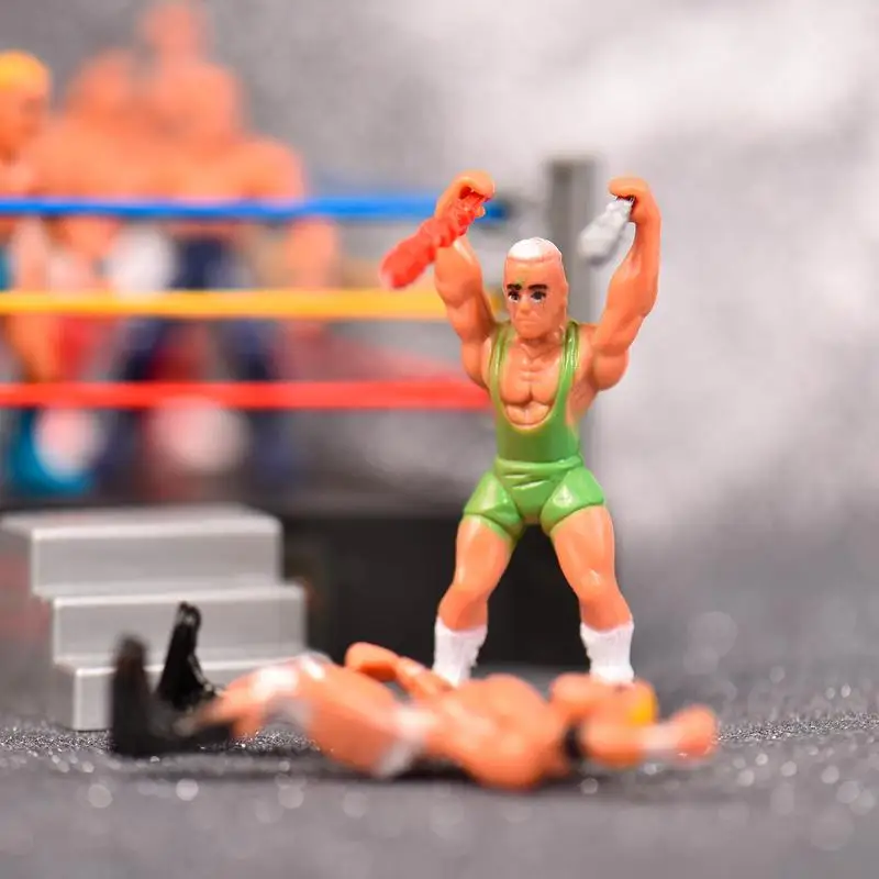 WWFオフィシャルレスリングリング　アクションフィギュア12体 WWFオフィシャルレスリングリング アクションフィギュア12体 WWF