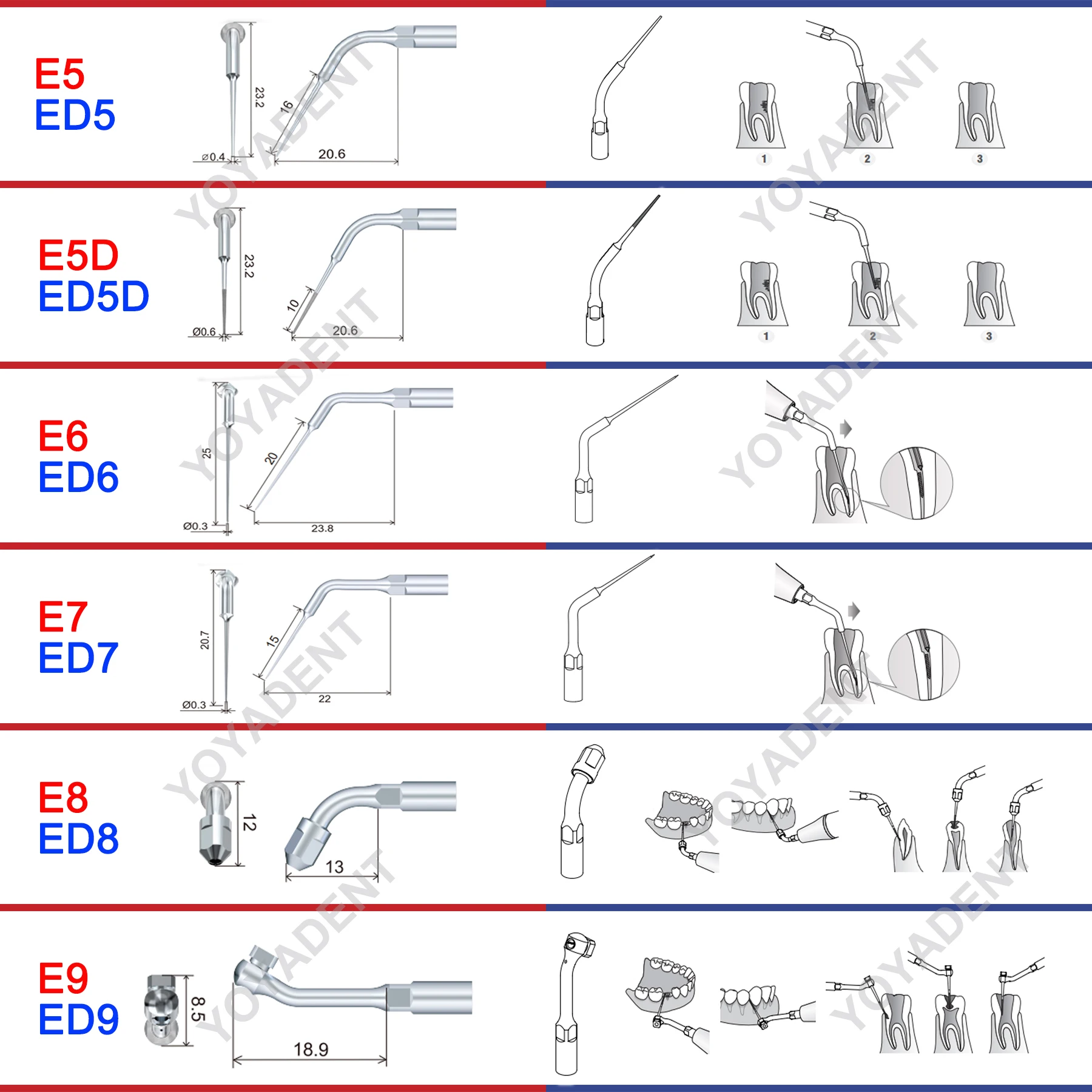 Woodpecker DTE Dental Endo Tips Ultrasonic Scaler Tips Scaling Tips ED-Series Fit NSK SATELEC Scaler Handpiece Dentistry Product 3