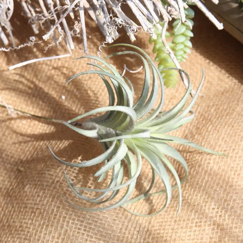 Chive Air Plants, Faux, Artificial, Fake for Indoor Outdoor Garden and Home  Decor, Terrarium Decorations, Arrangements SF48401