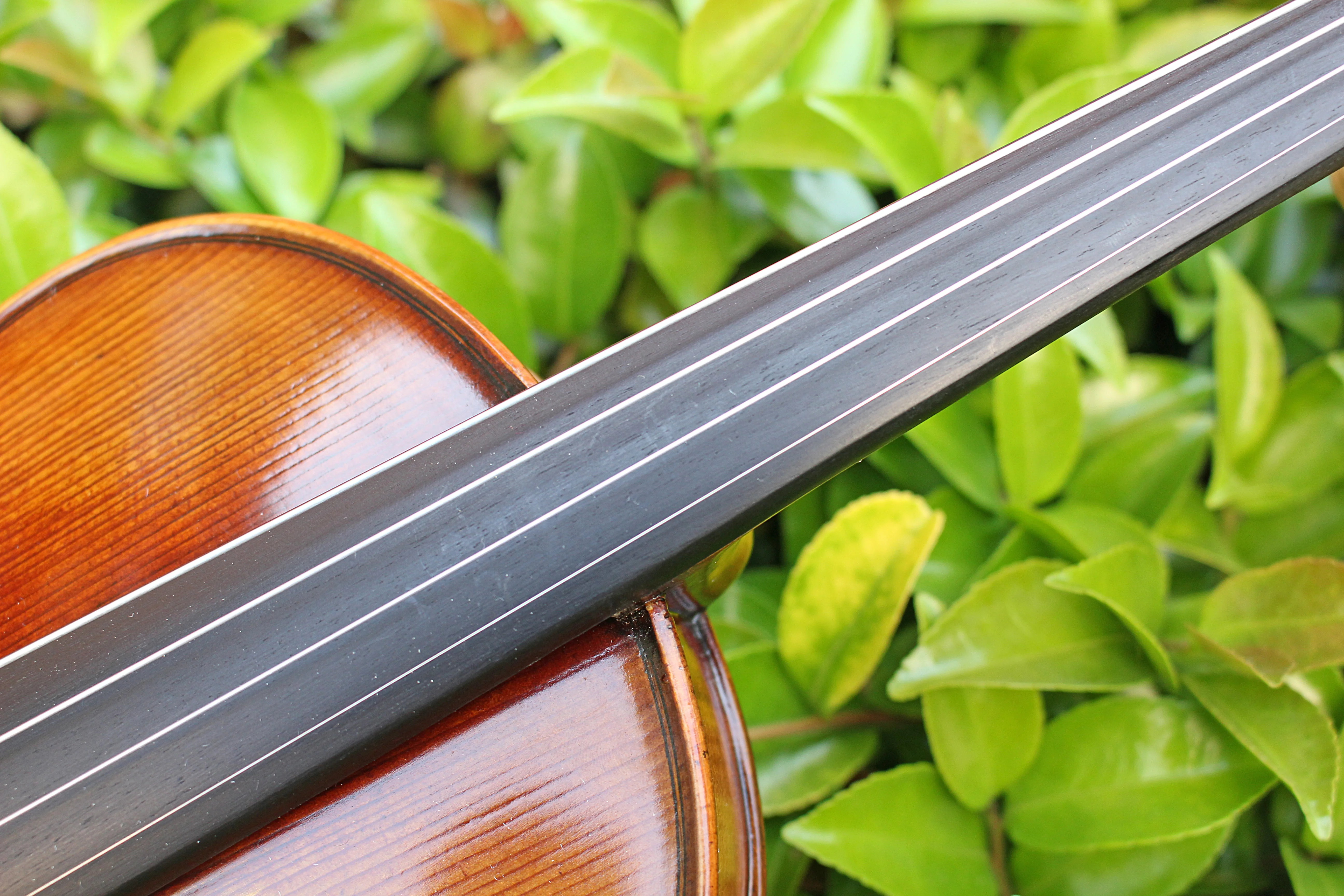 TONGLING Professional Top Master Violin 4/4 Size Handmade Oil Varnish & 20 Years Old European Spruce Antique Violin