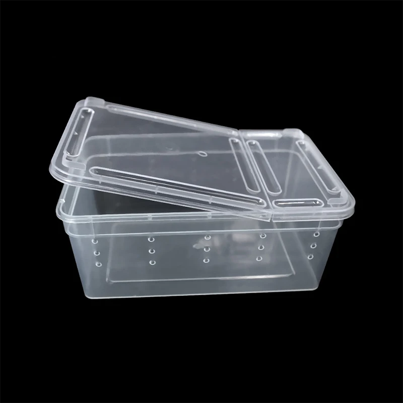 Title 6, 19cmx12.5cmx7.5cm Terrarium For Reptiles Spider...