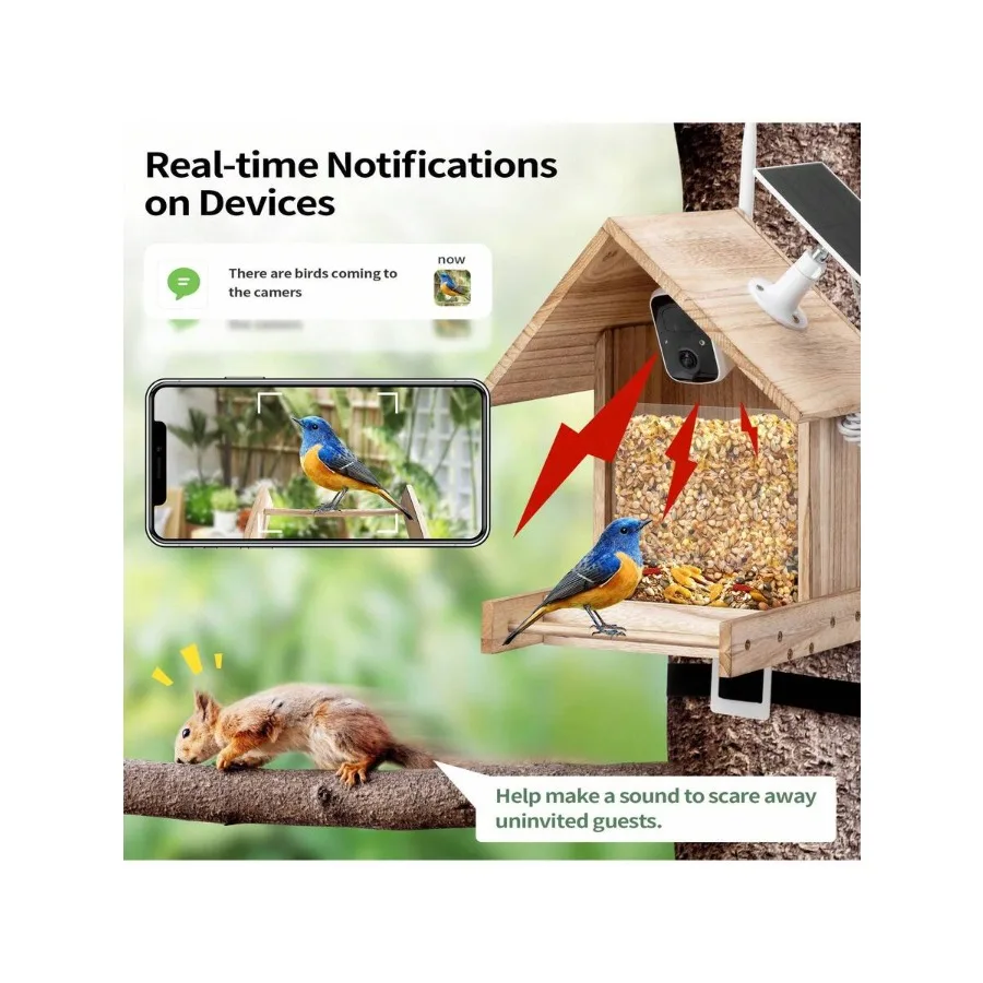 Smart Bird Feeder Camera 4