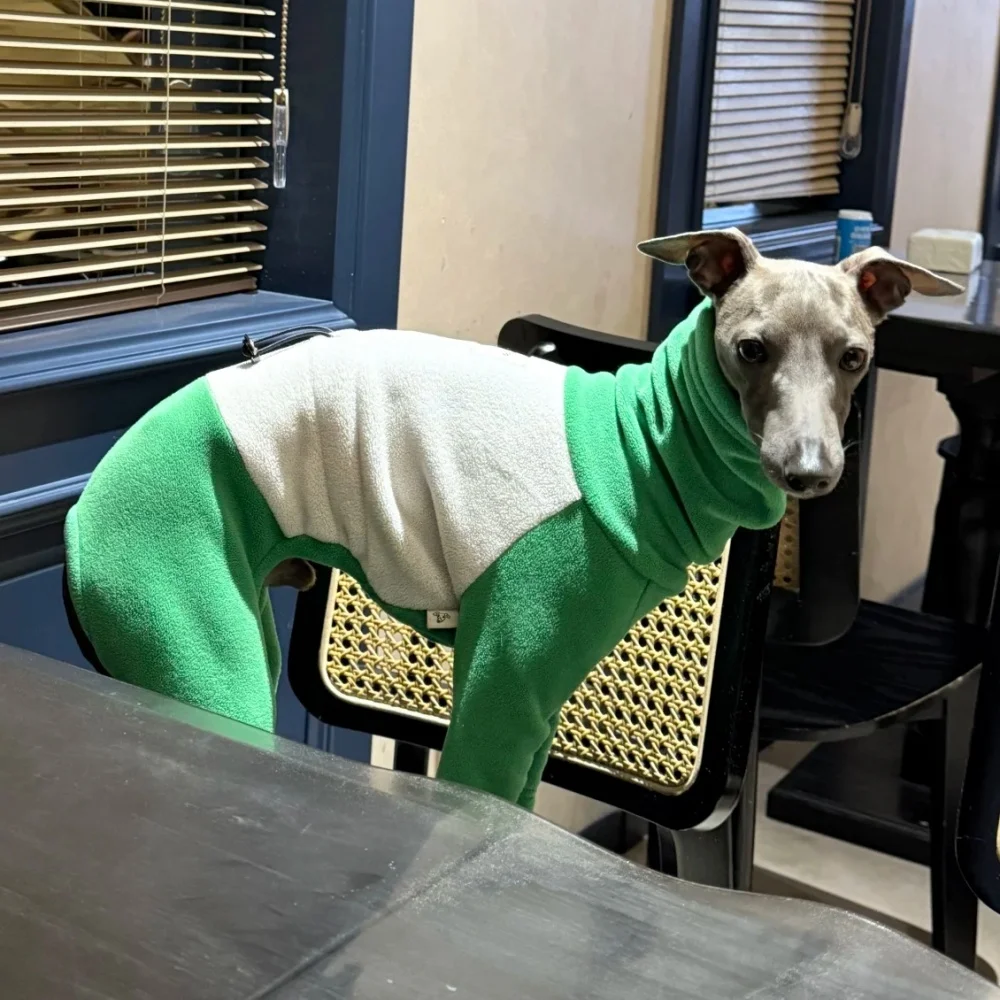Warmer gelber Fleecepullover für Italien, Windhund, weiches 4-beiniges High-Neck-Sweatshirt, winddichter Wintermantel für Pudel, Teddy, mittelhoher Hund – Detail 8