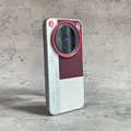Burgundy white