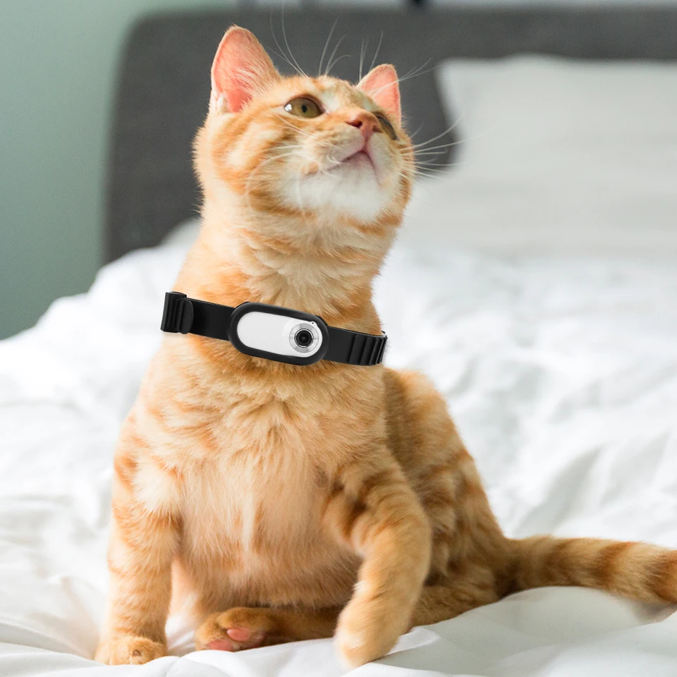 Fotocamera Collare Per Gatti Dubbulon – HD 1080P, Grandangolo 170°, Batteria 380mAh, Senza WiFi