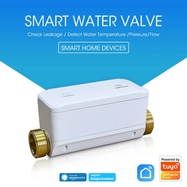 Haozee Tuya Smart Water Valve and Automatic Shutoff Water Flow Meter Water Leak