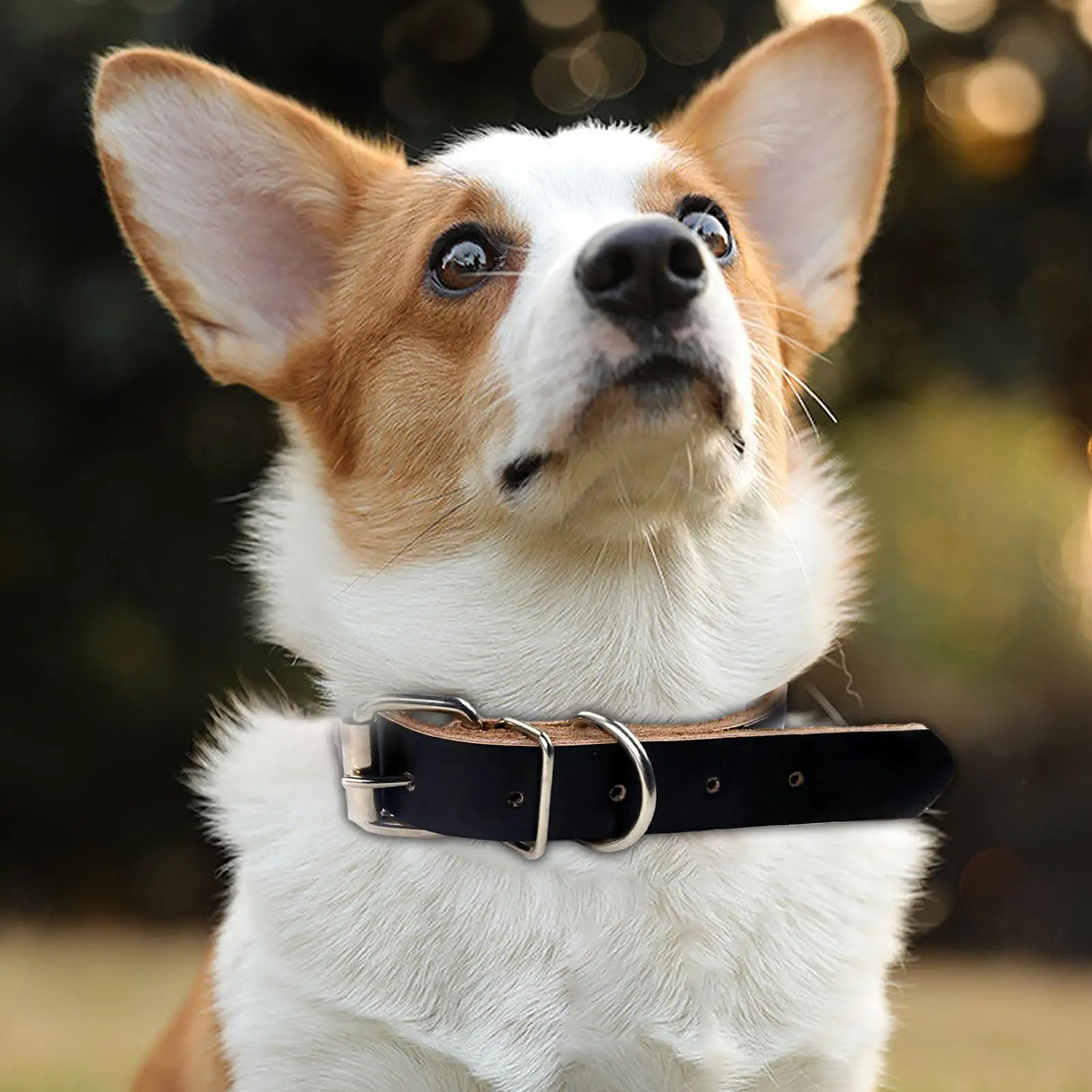 Rolled Dog Collar Leather Adjustable Metal Buckle Collars For Dogs Pet Supplies Collars For Medium And Large Dogs Gift Dog