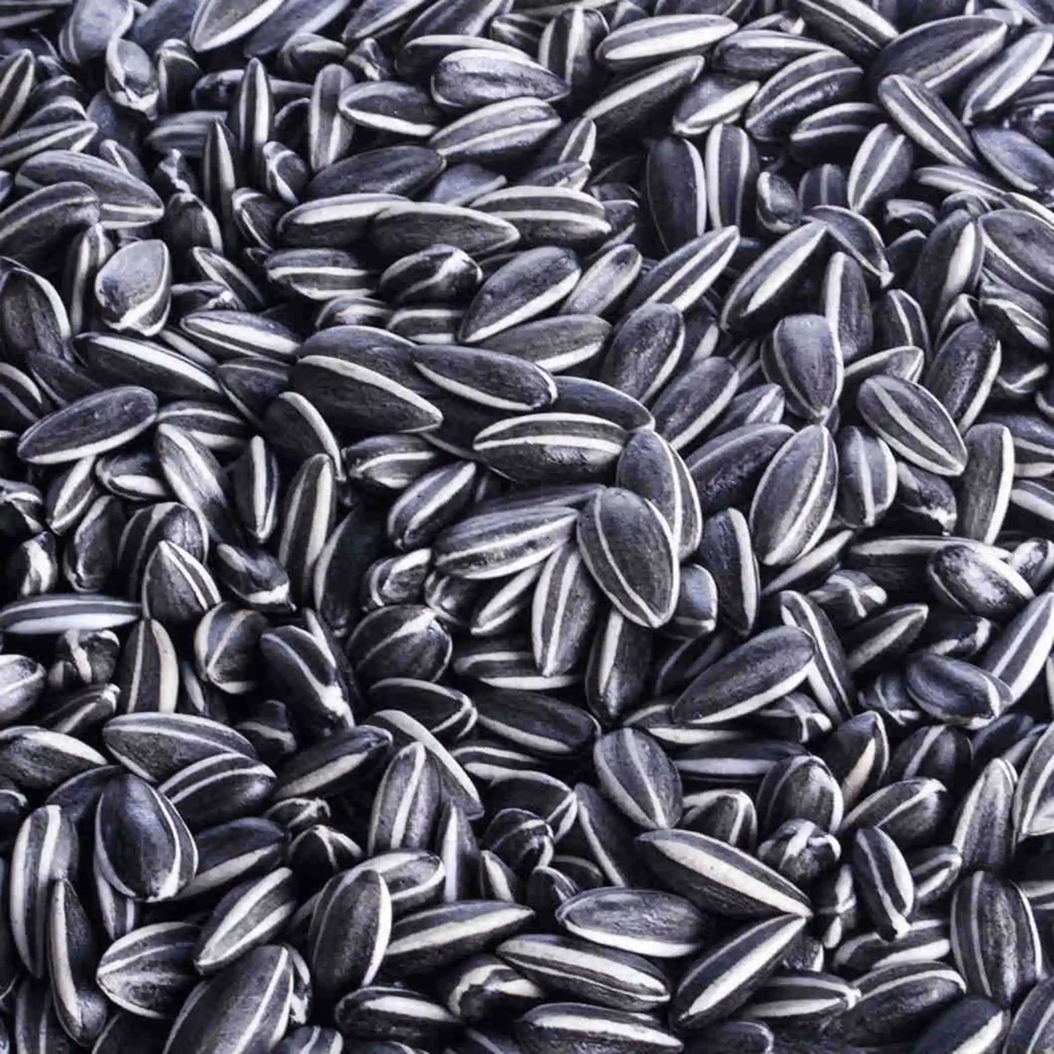 Lot Porcelain Simulation Sunflower Seeds Art Accessories Home Decor Party Gift