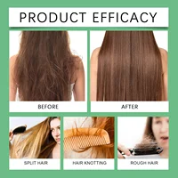 Shampoing à la menthe au romarin pour l'épaisseur des cheveux, shampoing volumisant à base de plantes naturelles pour renforcer et réparer le cuir chevelu gras, soins capillaires 6