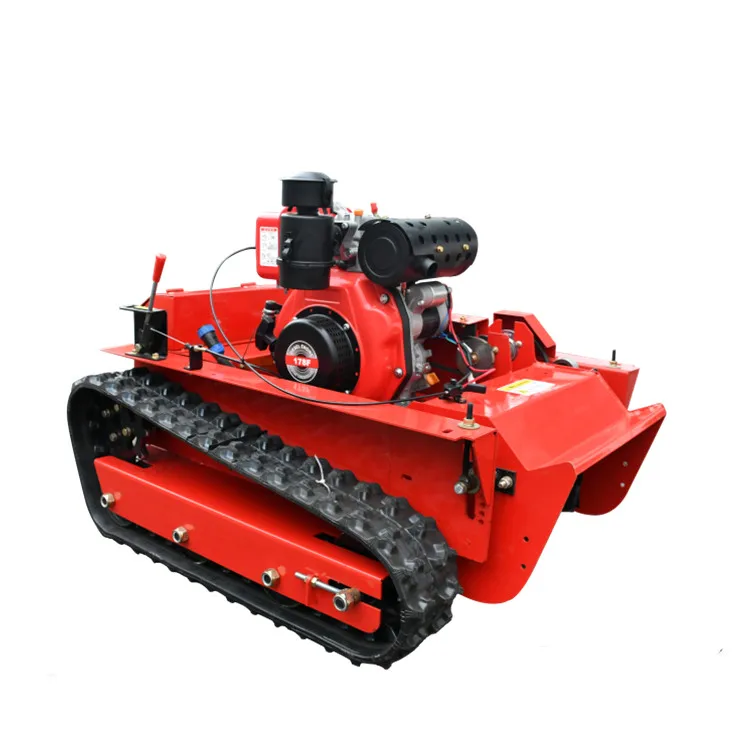 Рисунок 2 - Профессиональная мини-робот газонокосилка