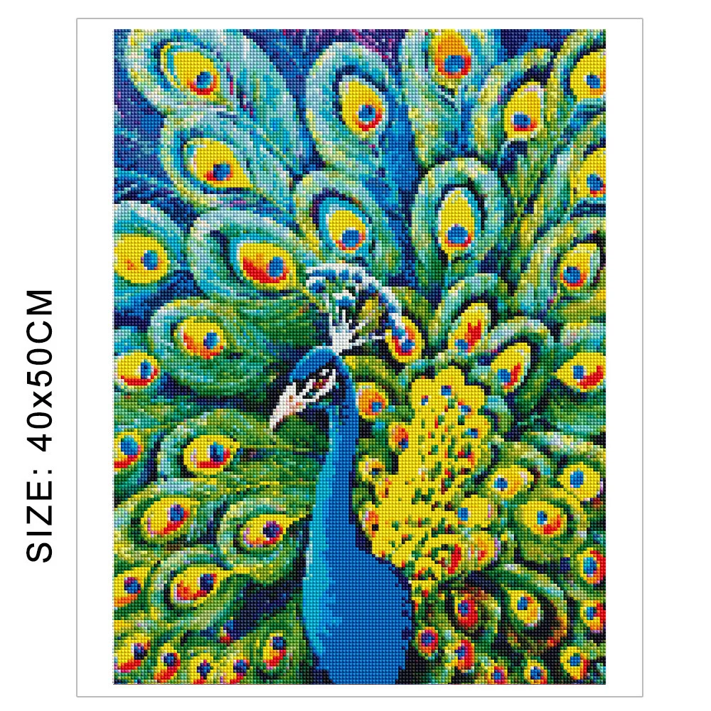 17 (5).jpg_.webp 17 (5).jpg_.webp