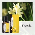 Freesia