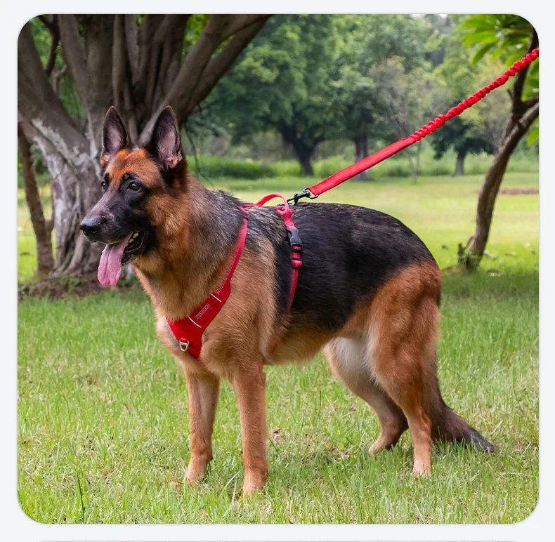 Arnés para perros transpirable y reflectante para actividades_voghion.com