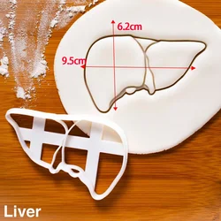 Heart and Brain Cookie Cutter Set for Creative Baking and Cake Decorating (05)