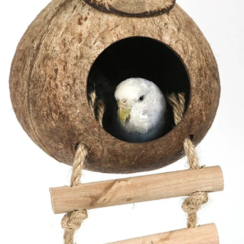 Casetta per Uccelli in Cocco con Scala Sospesa, Nido per Uccelli in Cocco Sospeso, Nascondiglio per Pappagalli, Gabbia per Uccelli per Piccioncini e Piccioni, Accessori per Animali Domestici