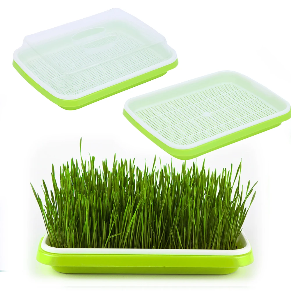 Seed Sprouter Tray Soil-Free Big Capacity Microgreens Hydroponic Tray For Sprouts Gardening SuppliesSeed Sprouter Tray Soil-Free Big Capacity Microgreens
Hydroponic Tray For Sprouts Gardening Supplies personalised plant pots