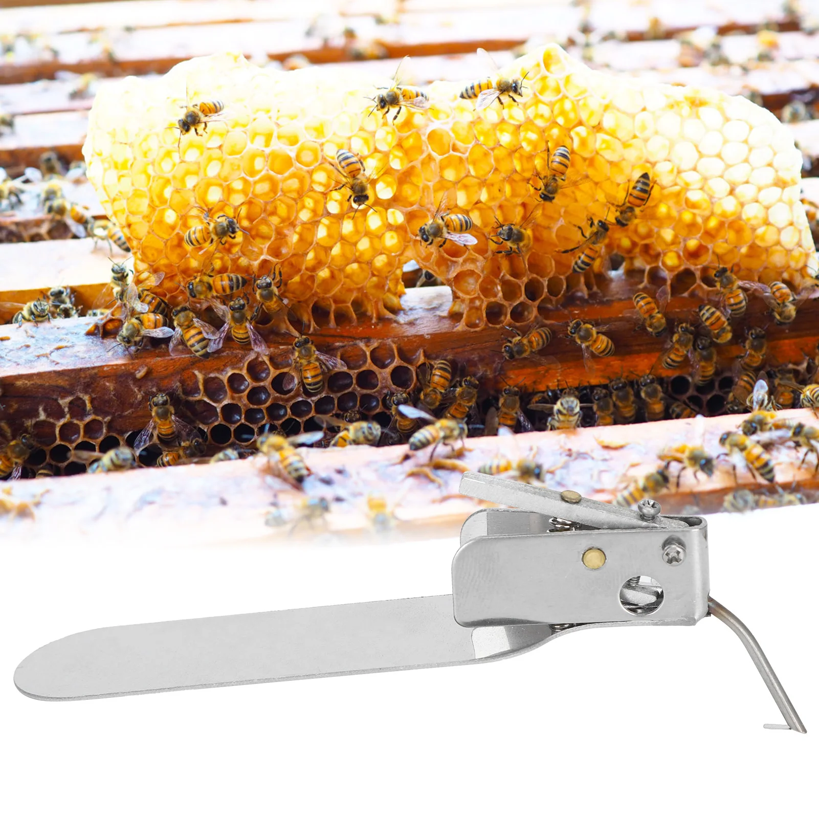 Beekeeping Grafting Tool Beekeeping Tool Grafting Single‑End Queen Bee Larva Needle Transferring