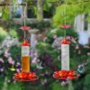 Hummingbird Water Feeder Hanging Honey Water Bird Feeder Anti-ants Leakproof Easy To Clean Outdoor Garden Decoration 5