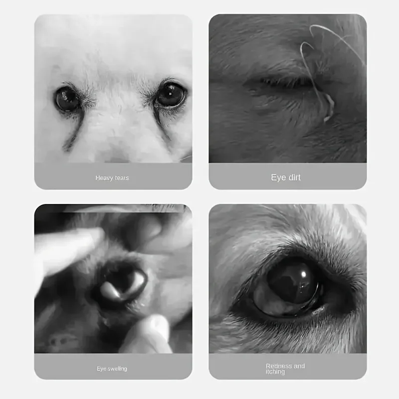 130PCS Pet Eye & Ear Cleaning Wipes Gentle Tear Stain Remover Wipes for Dogs & Cats Pet Ear Eye Washing Pads