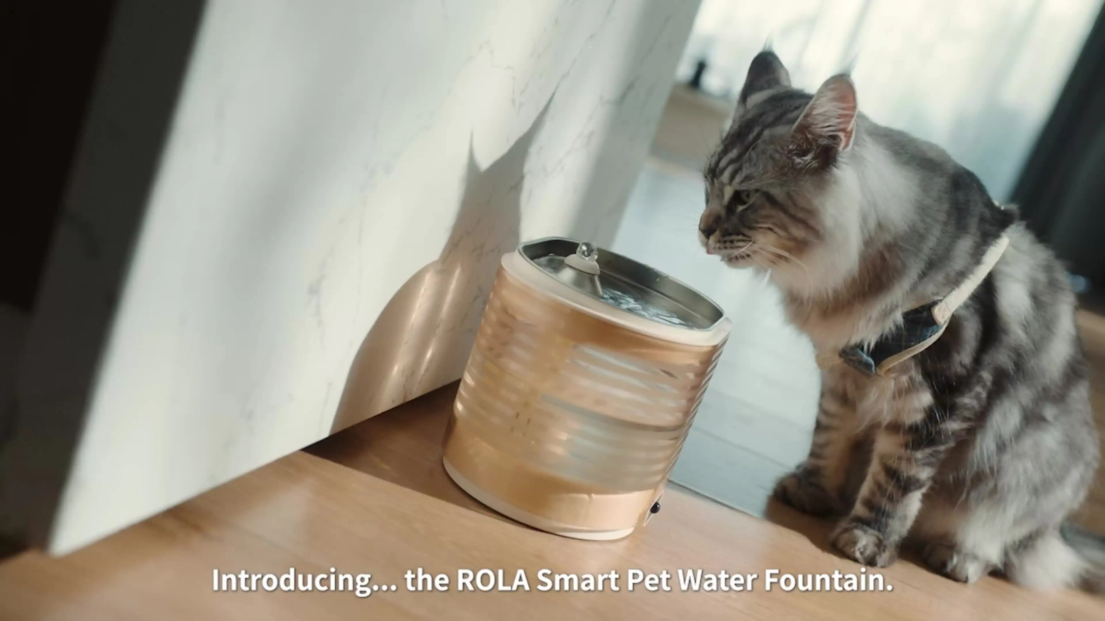 Фонтан Enabot ROLA Smart Pet Water Fountain