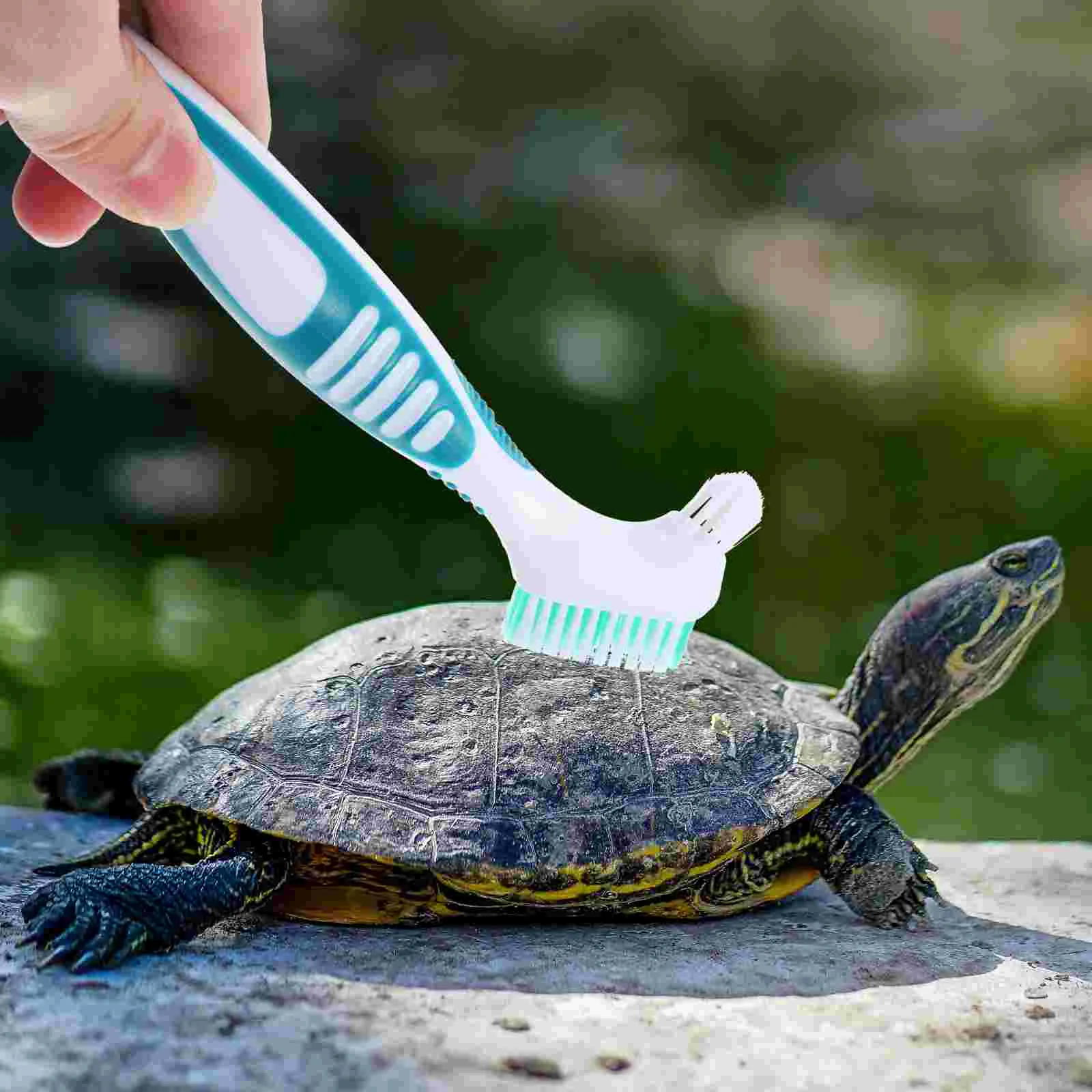 Aquatic Turtle Cleaning Brush Tortoise Shell Mud Clean Brush Turtle Shell Cleaning Tool